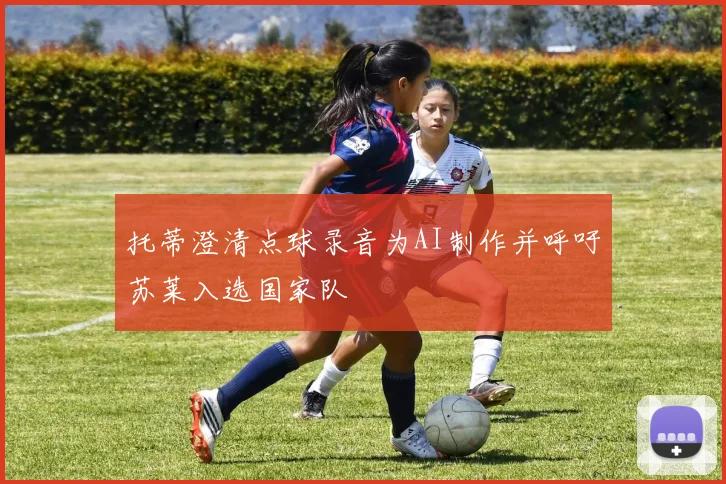 托蒂澄清点球录音为AI制作并呼吁苏莱入选国家队