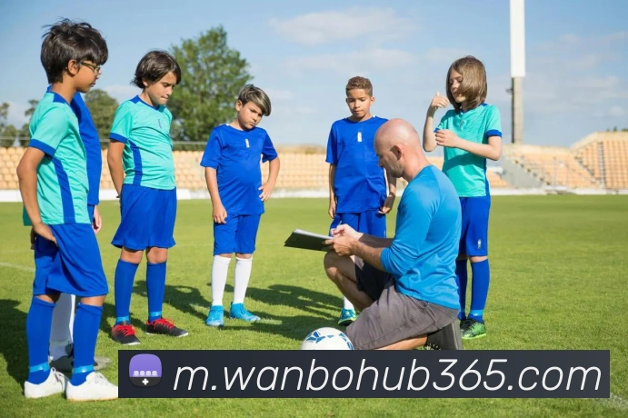 万博体育平台生态图