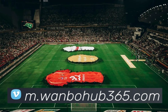 万博体育APP 封面图